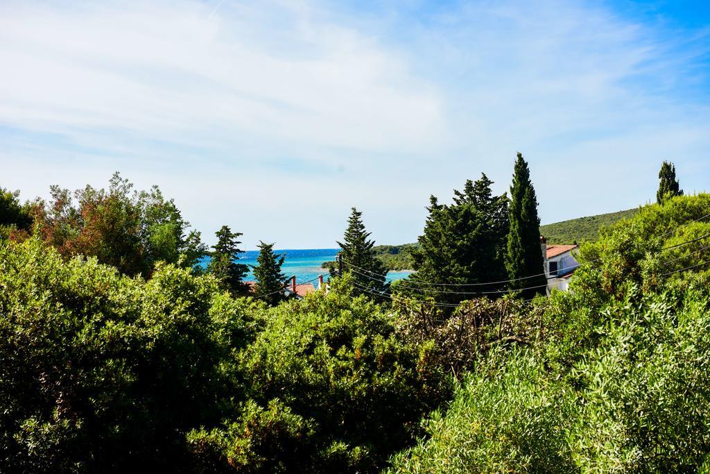Apartments Mrva Ugljan Bagian luar foto